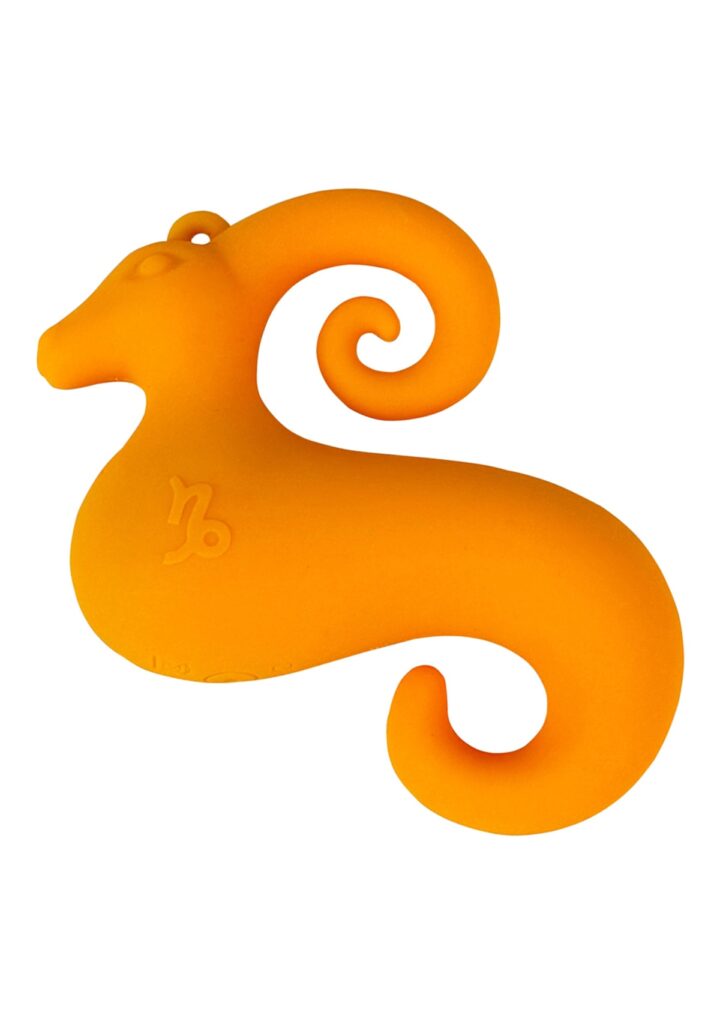 Zodiac Collection Capricorn Mini Vibe