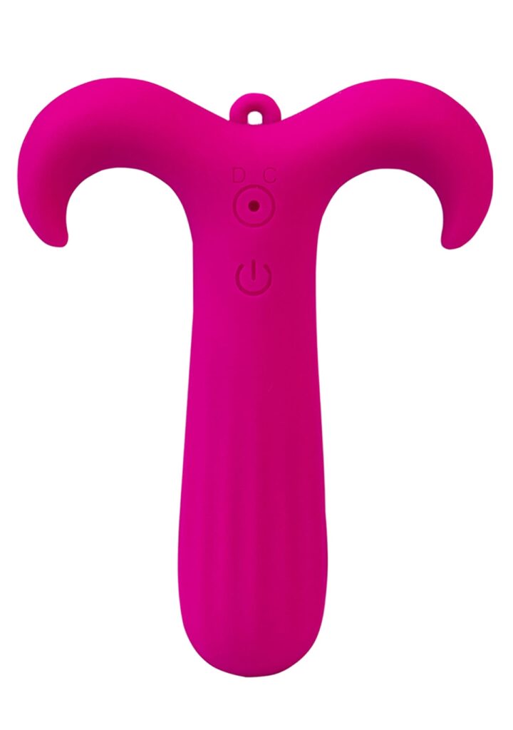 Zodiac Collection Aries Mini Vibe