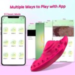 App-Controlled Remote Wearable Vibe