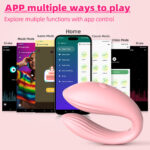 App-Controlled Wearable Dual Stimulation Vibe
