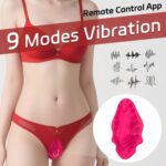 App-Controlled Remote Wearable Vibe