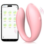 App-Controlled Wearable Dual Stimulation Vibe