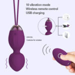 Wireless Remote Control Vibrating Egg Set