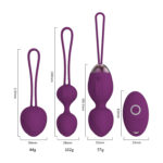 Wireless Remote Control Vibrating Egg Set